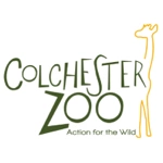 Colchester-zoo