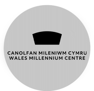 Wales Millenium Logo